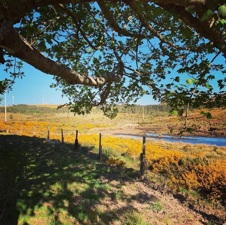 São Pedro do Sul Lago Da Garca Guesthouse מראה חיצוני תמונה