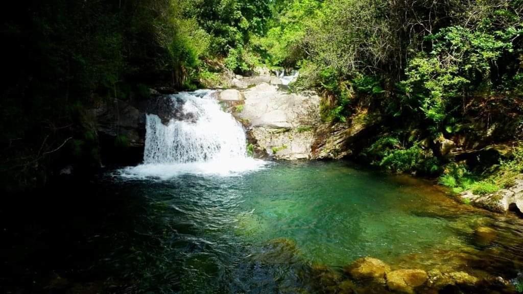 São Pedro do Sul Lago Da Garca Guesthouse מראה חיצוני תמונה