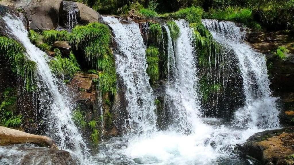 São Pedro do Sul Lago Da Garca Guesthouse מראה חיצוני תמונה