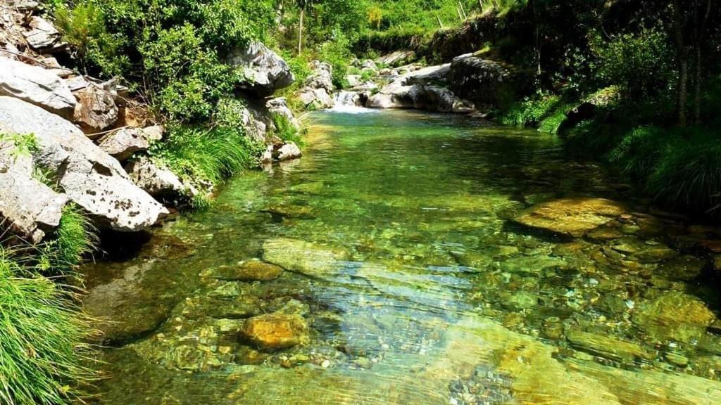 São Pedro do Sul Lago Da Garca Guesthouse מראה חיצוני תמונה