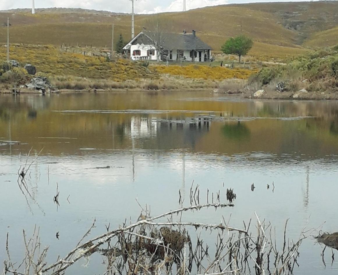 São Pedro do Sul Lago Da Garca Guesthouse מראה חיצוני תמונה