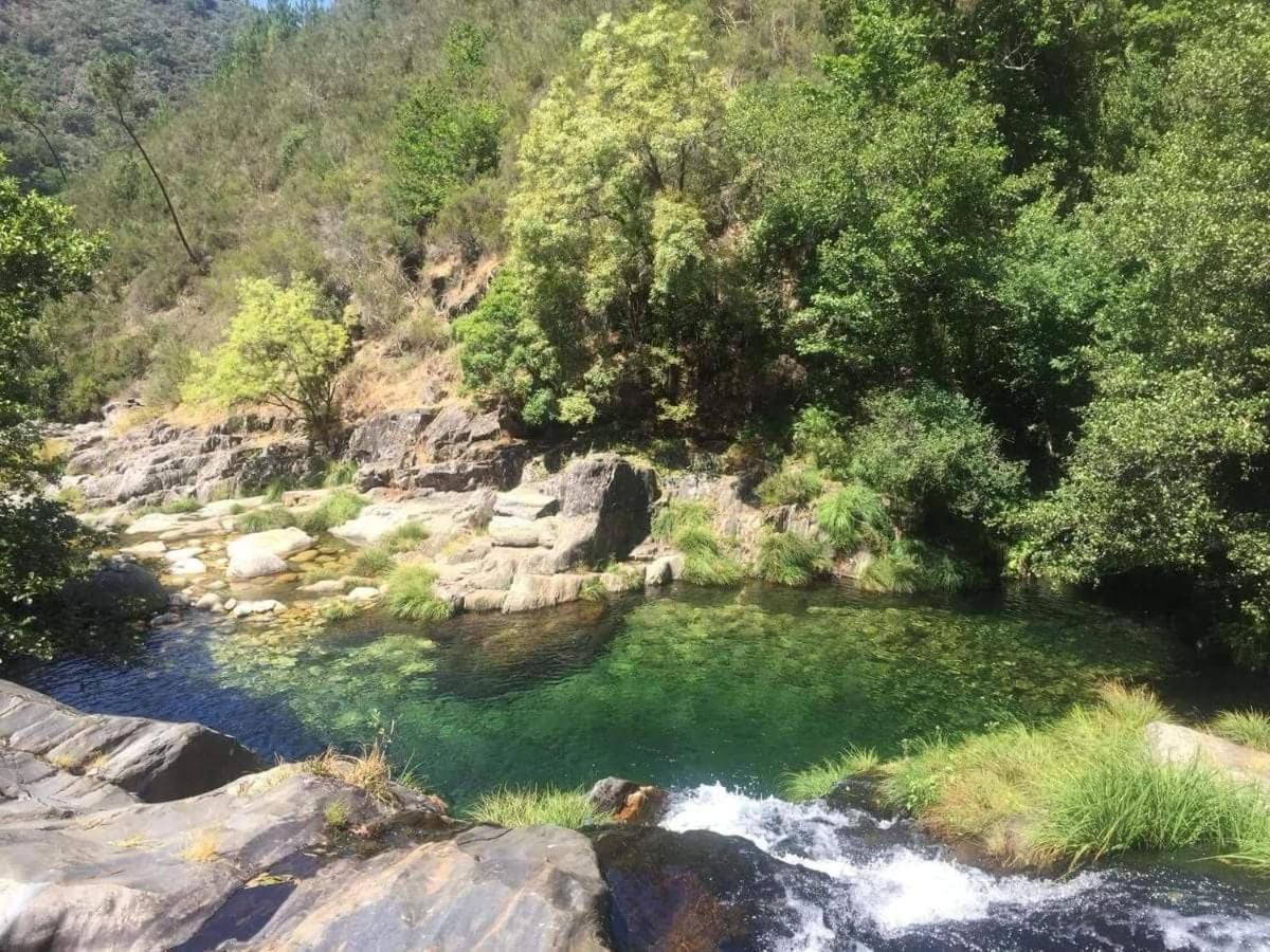 São Pedro do Sul Lago Da Garca Guesthouse מראה חיצוני תמונה